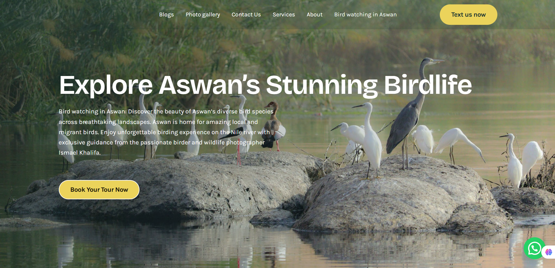 Local Tour Company Website